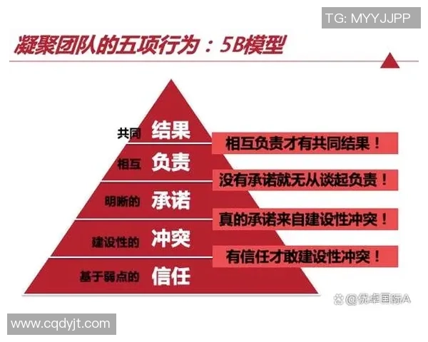 排球盛宴：深入分析西安排球队的战术配合与团队协作技巧